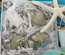 Load image into Gallery viewer, Bayberry Dunes