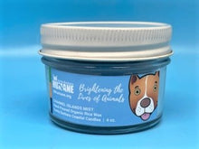 Load image into Gallery viewer, Santa Barbara Humane Candle