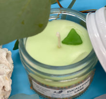 Load image into Gallery viewer, Organic Eucalyptus Lane