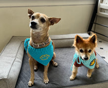 Load image into Gallery viewer, Santa Barbara Humane Pet Bandanas