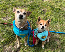 Load image into Gallery viewer, Crochet Pet Bandanas