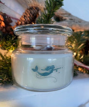 Load image into Gallery viewer, Vanilla Bean