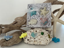 Load image into Gallery viewer, Gift Box Variety of Nano Sea-Shaped Candles
