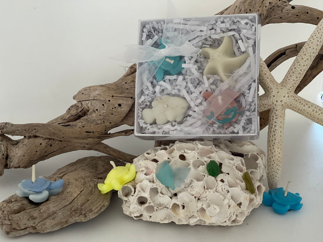 Gift Box Variety of Nano Sea-Shaped Candles