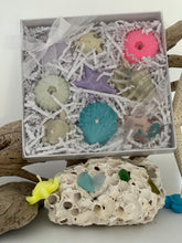 Load image into Gallery viewer, Gift Box Variety of Nano Sea-Shaped Candles
