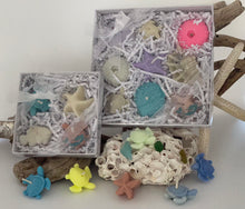 Load image into Gallery viewer, Gift Box Variety of Nano Sea-Shaped Candles
