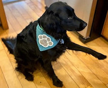 Load image into Gallery viewer, Crochet Pet Bandanas
