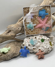 Load image into Gallery viewer, Gift Box Variety of Nano Sea-Shaped Melts
